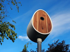 The Peep Show® 1.jpg